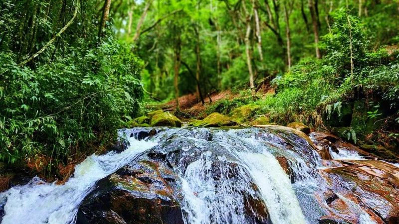 cachoeira-e-trilha (11)